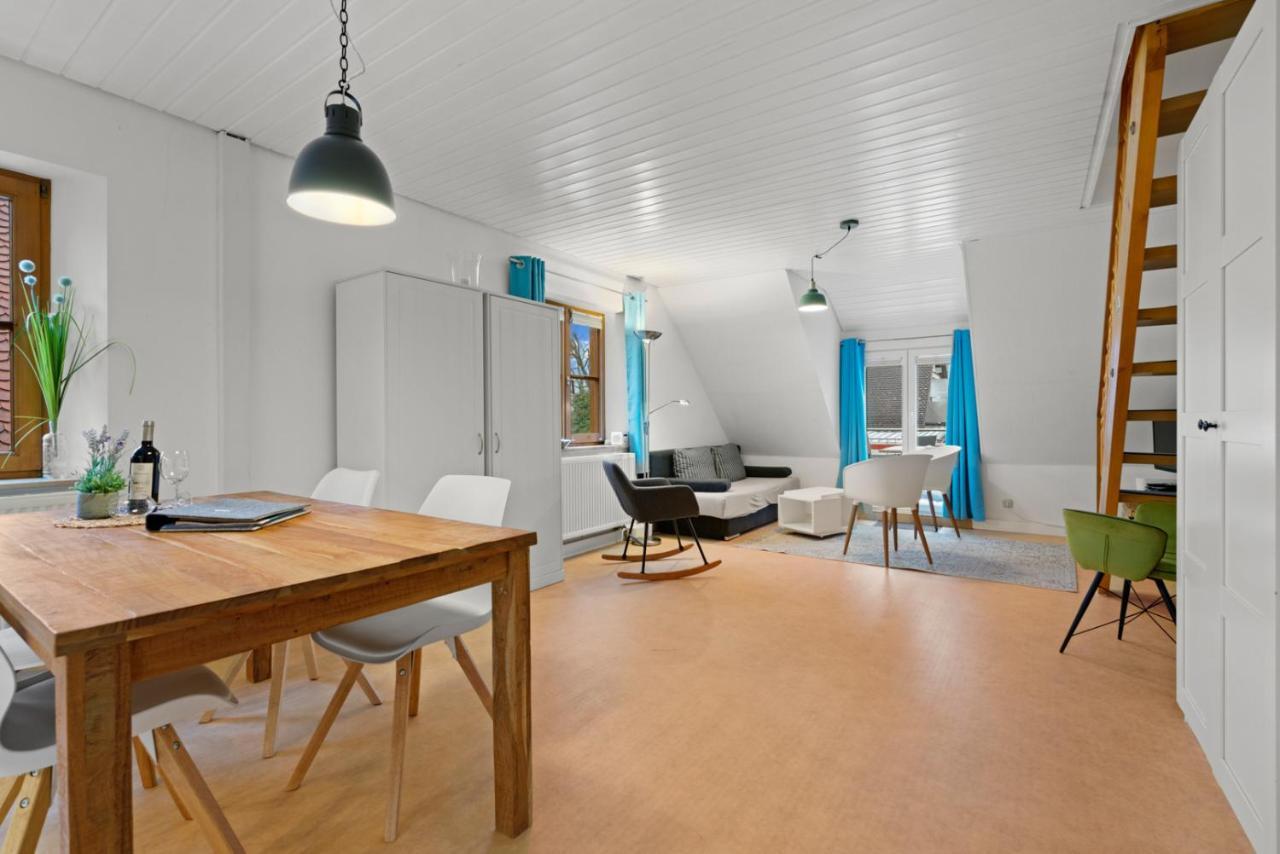 Ttp Apartments Immenstaad 이멘슈타트암보덴지 외부 사진